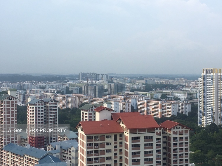 Clover By The Park (D20), Condominium #183155222